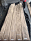 Crown Cut American Walnut Wood Veneer Panel B Grade