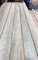 OEM White Ash Wood Veneer Crown Cut 0.45mm Thickness  2500m+ length