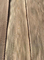 Thick 0.50MM Elm Wood Veneer Crown Cut Door A Grade To Iran
